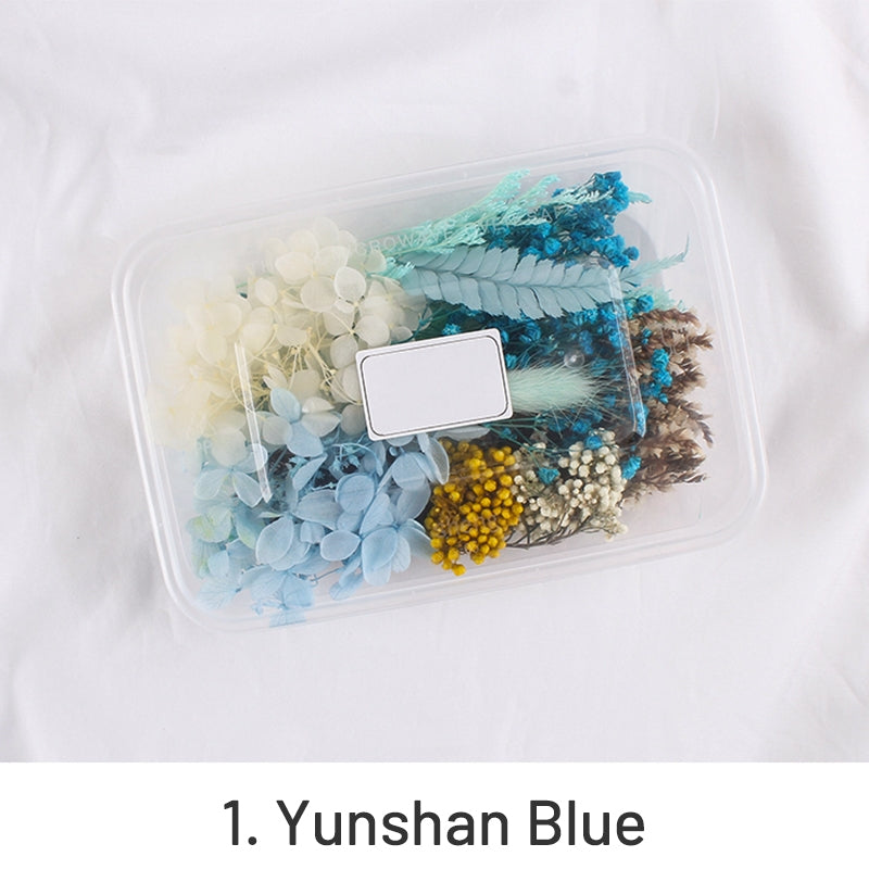 Air-Dried Real Flower Boxed Preserved Floral Material Pack sku-1