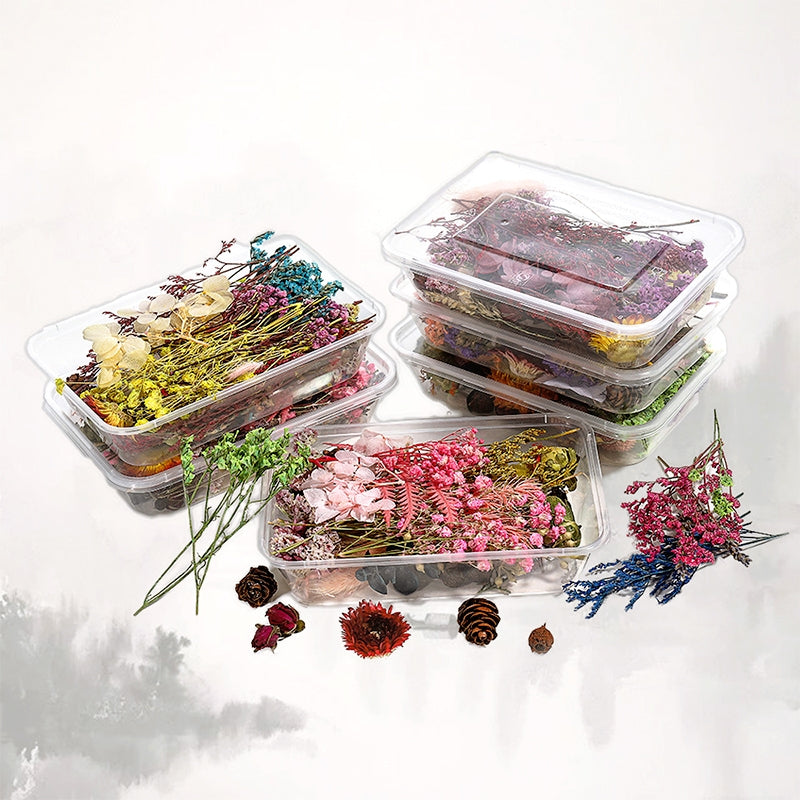 Fleurs séchées conservées décoratives en boîte b