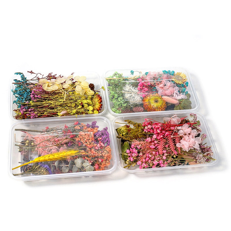 Fleurs séchées conservées décoratives en boîte b2