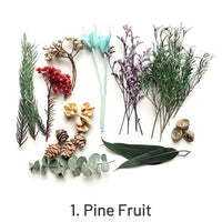 1. Fruit de Pin 44g