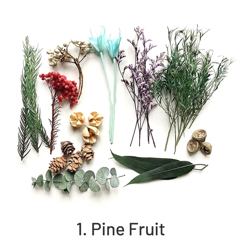 Fleurs séchées conservées décoratives en boîte sku-1