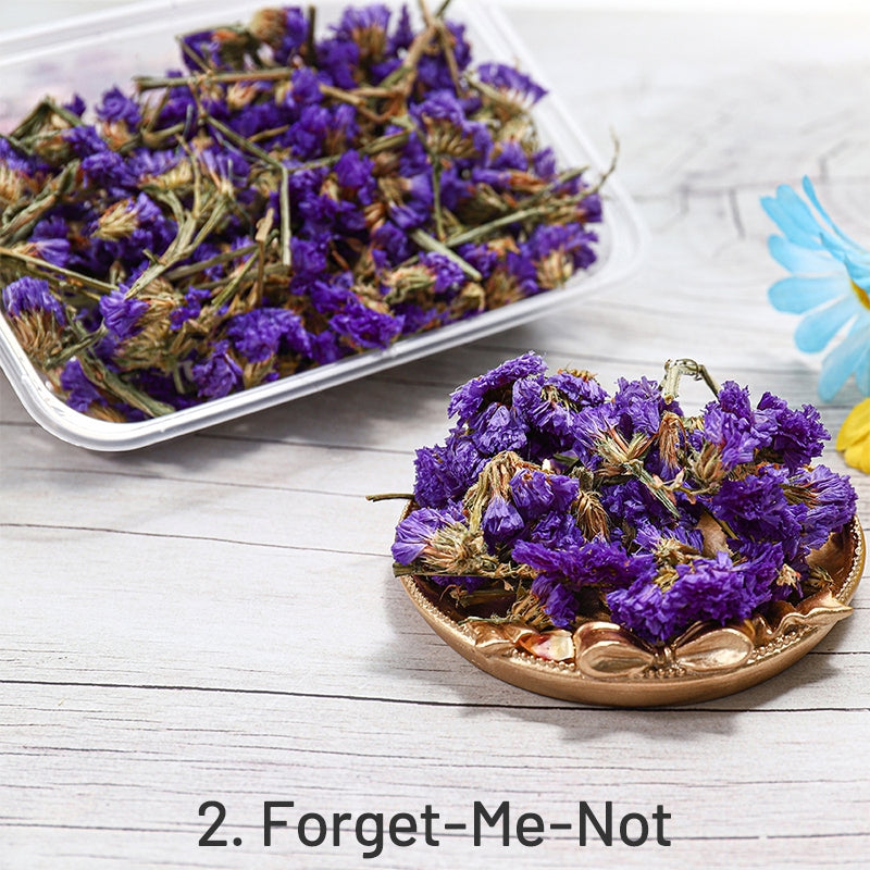 Fleurs séchées préservées décoratives en boîte sku-2
