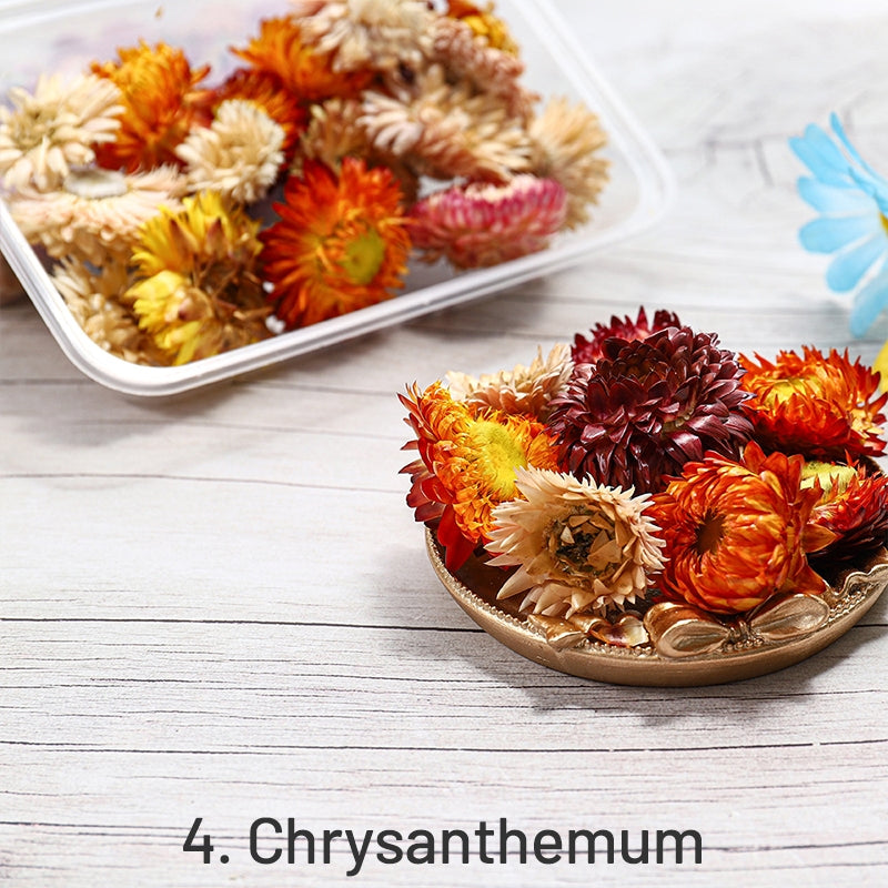 Fleurs séchées et conservées décoratives en boîte sku-4