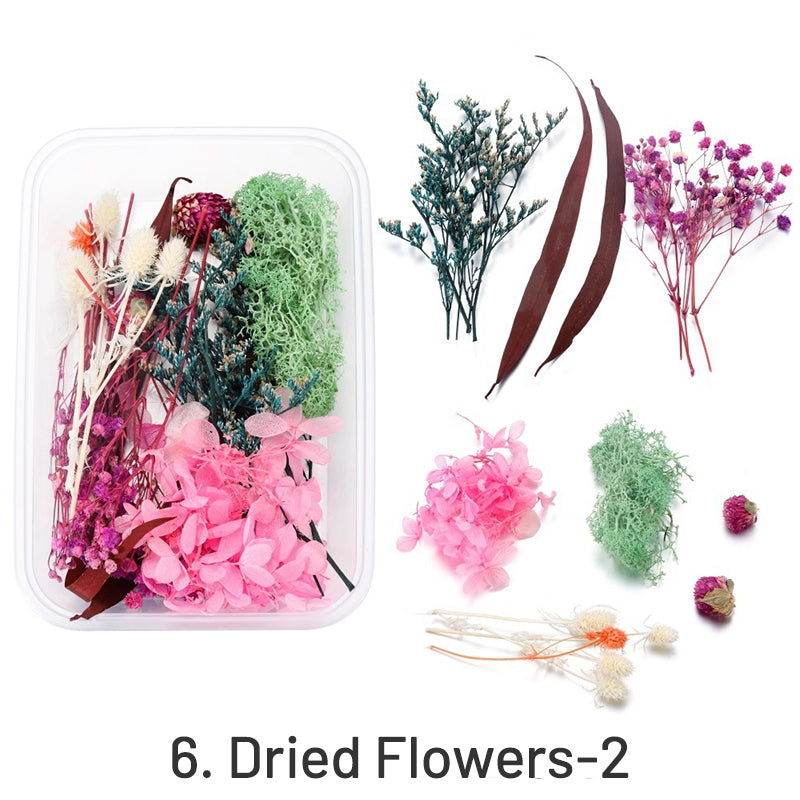 Fleurs séchées conservées décoratives en boîte sku-6