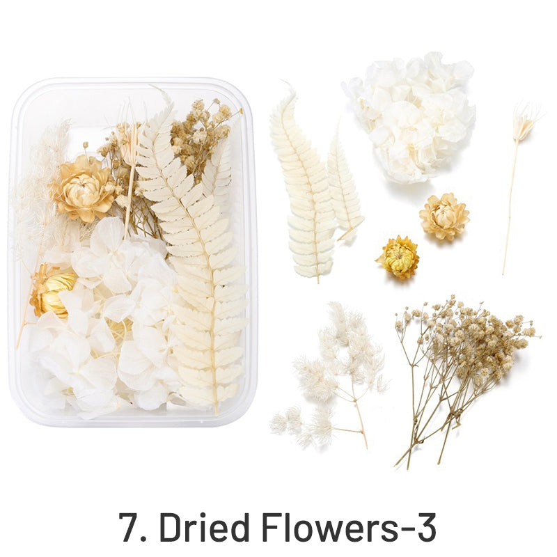 Fleurs séchées conservées décoratives en boîte sku-7
