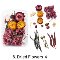 8. Fleurs Séchées-4 32g