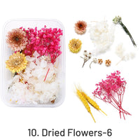 10. Fleurs Séchées-6 33g