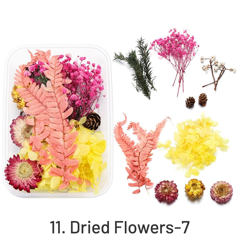 Fleurs séchées préservées décoratives en boîte sku-11