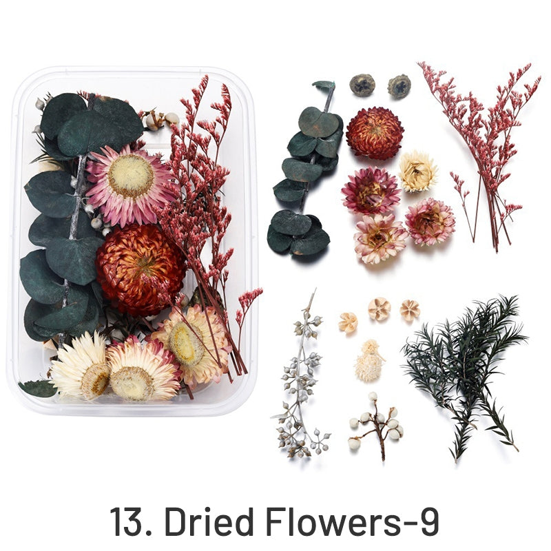 Fleurs séchées conservées décoratives en boîte sku-13