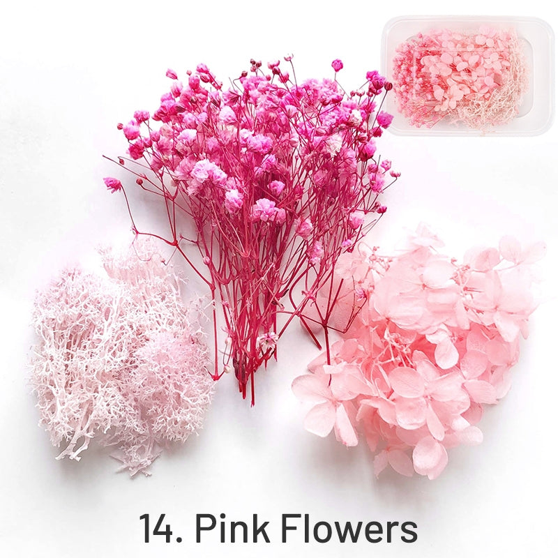 Fleurs séchées décoratives conservées en boîte sku-14