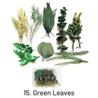 15. Feuilles Vertes 33g