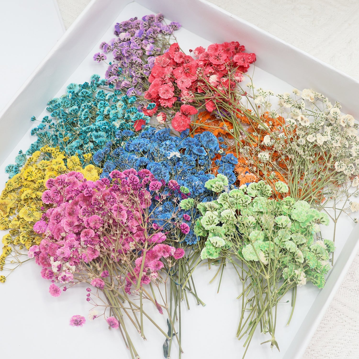 Pack de Matériel de Fleurs Séchées DIY Gypsophile 1