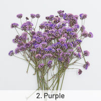 2. Violet