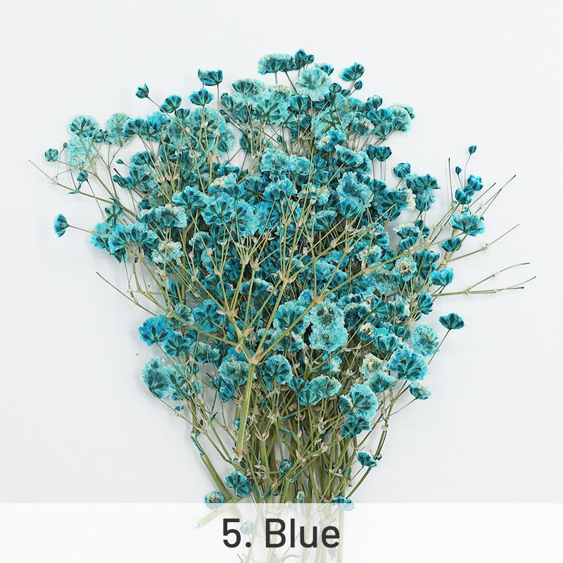 Pack de Matériaux de Fleurs Séchées DIY Gypsophile sku-5