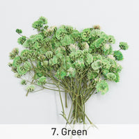7. Vert