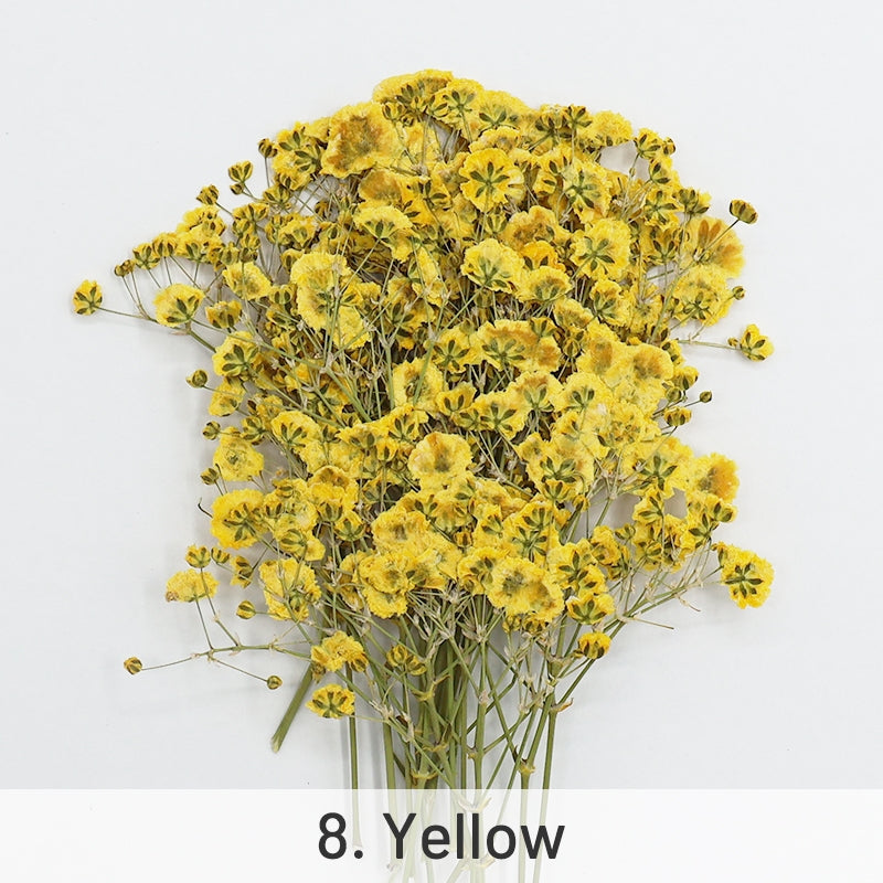 Pack de Matériaux de Fleurs Séchées DIY Gypsophile sku-8