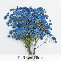 9. Bleu Royal