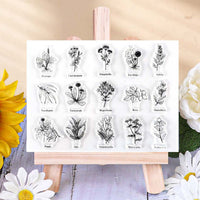 Illustrated Herbarium