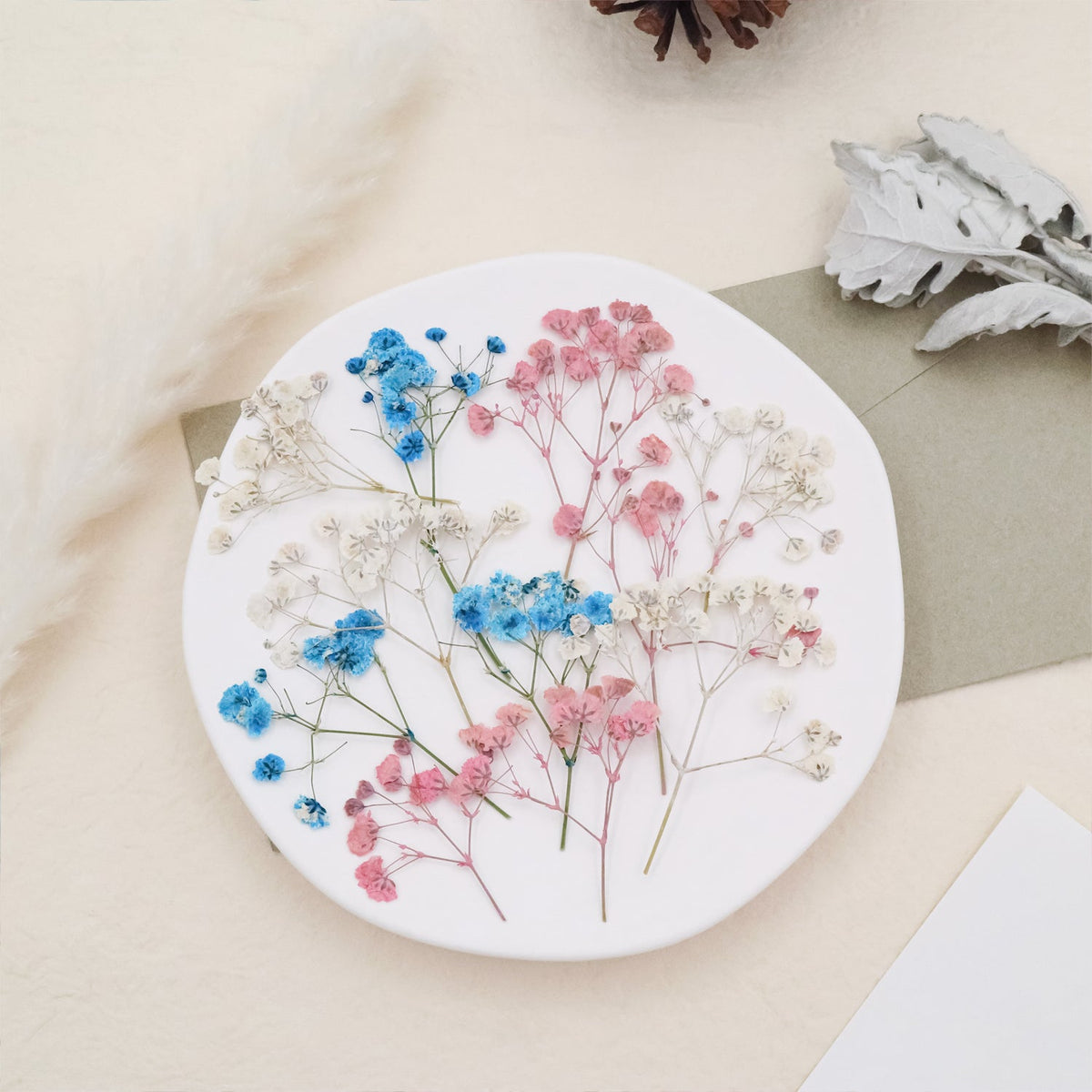 Stamprints Dried Pressed Baby's Breath-3