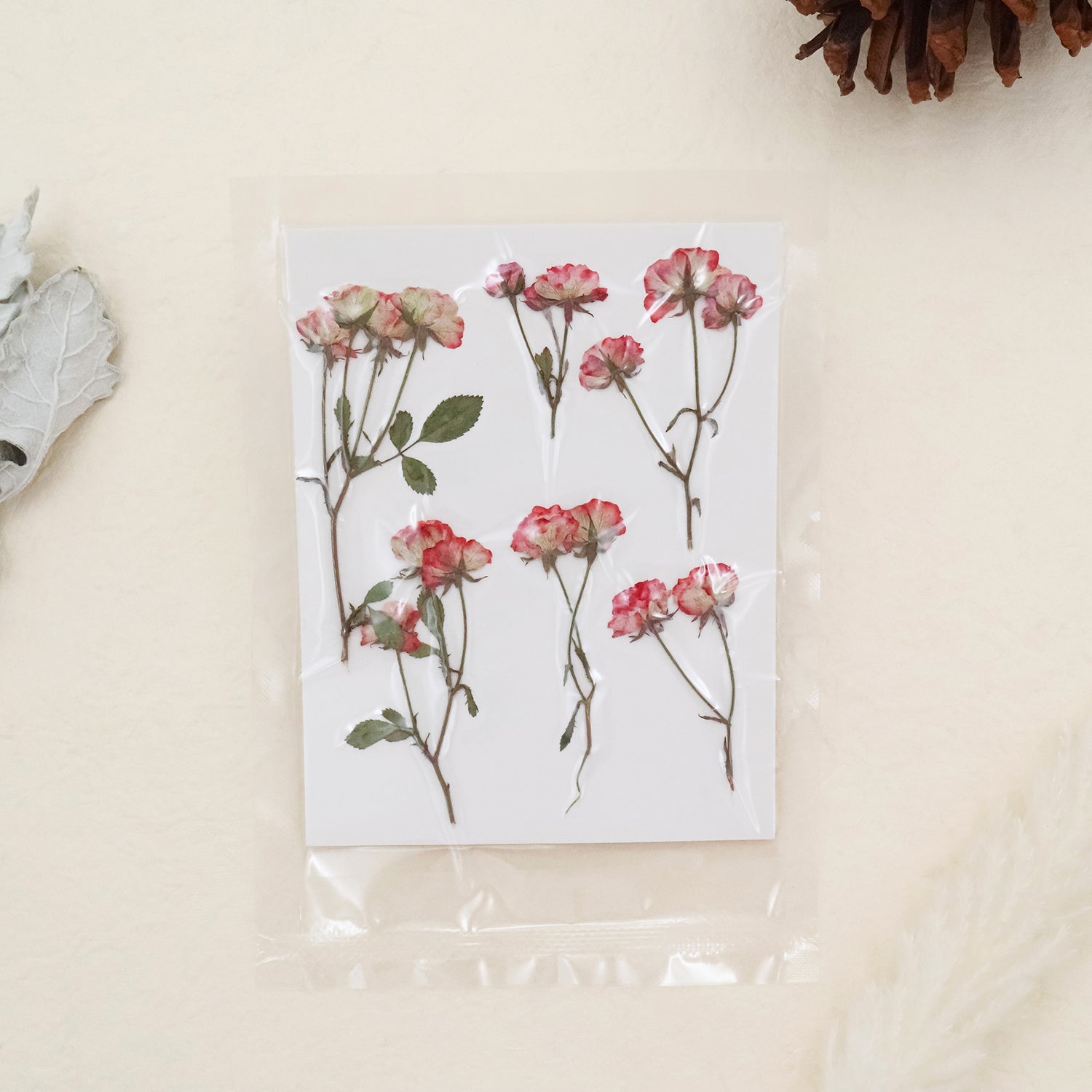 Stamprints Roses Spray Pressées Séchées-5